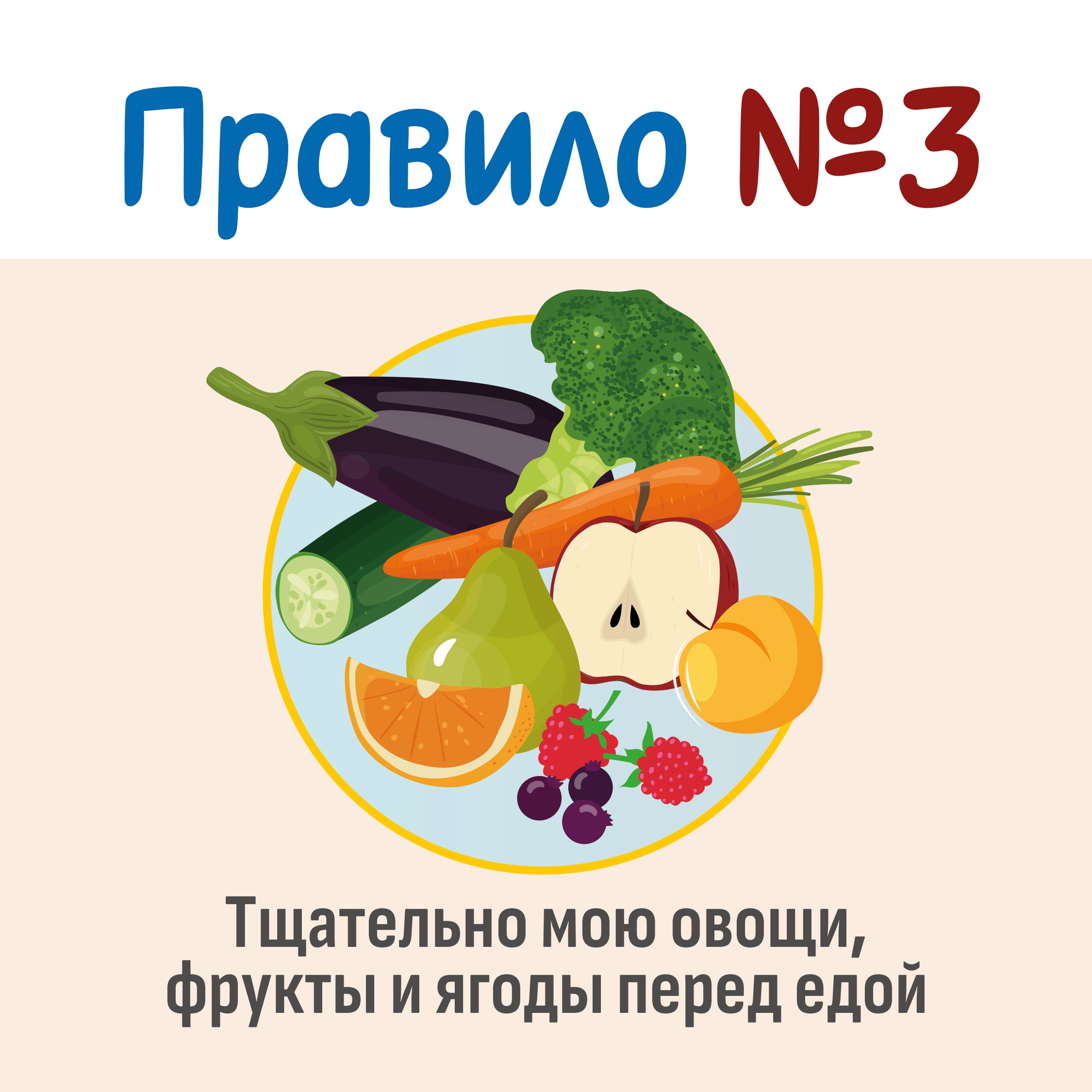 Изображения столовой.